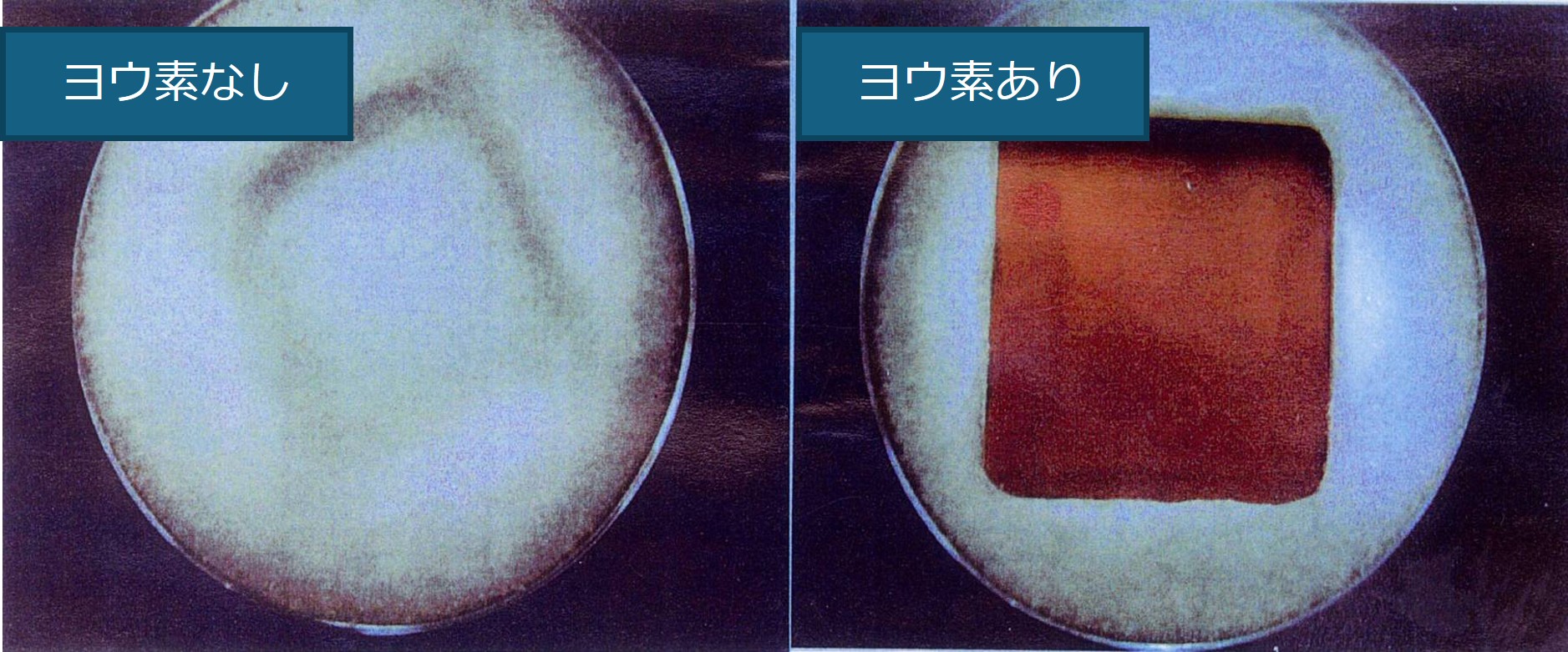 抗菌アルマイト